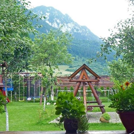 Hotel Sura Pietrei Craiului Zărneşti Zewnętrze zdjęcie