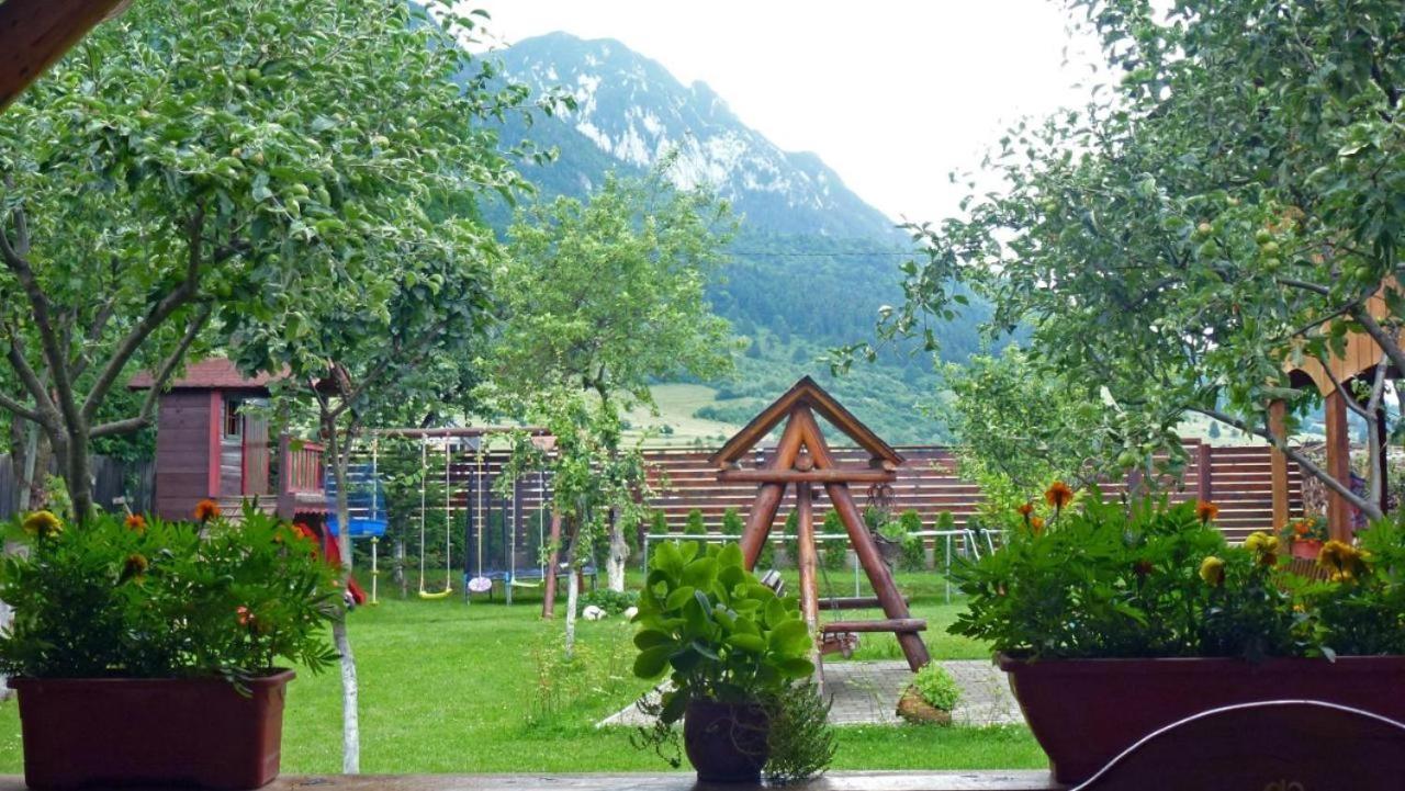 Hotel Sura Pietrei Craiului Zărneşti Zewnętrze zdjęcie