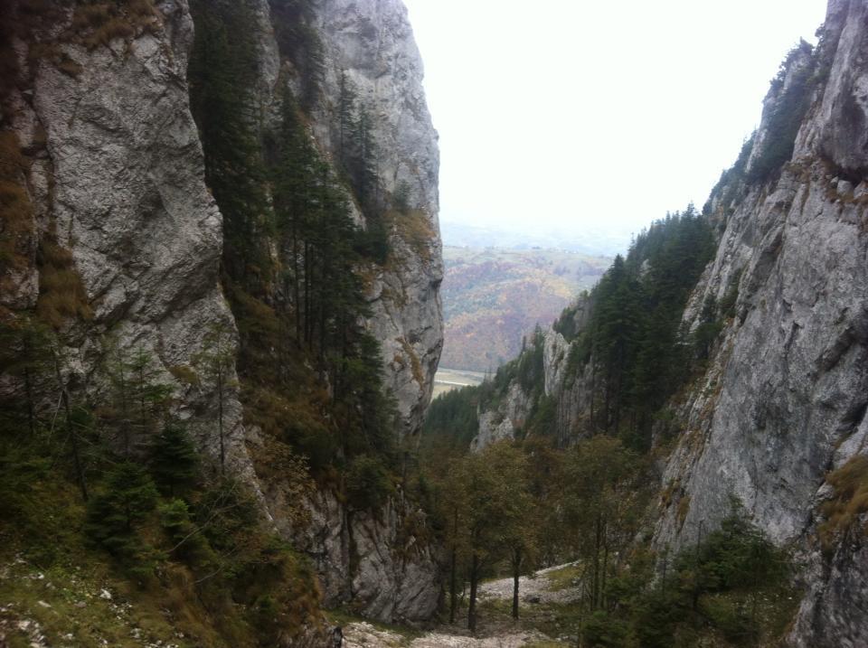 Hotel Sura Pietrei Craiului Zărneşti Zewnętrze zdjęcie