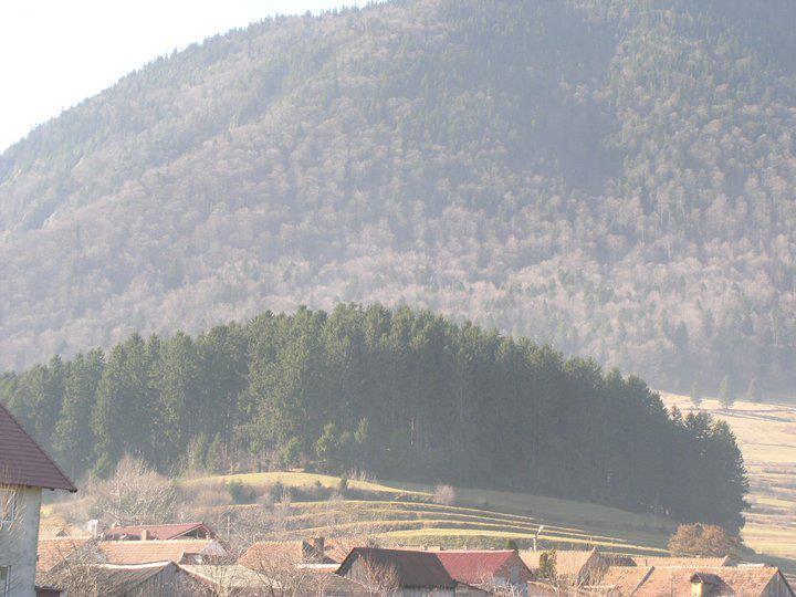 Hotel Sura Pietrei Craiului Zărneşti Zewnętrze zdjęcie